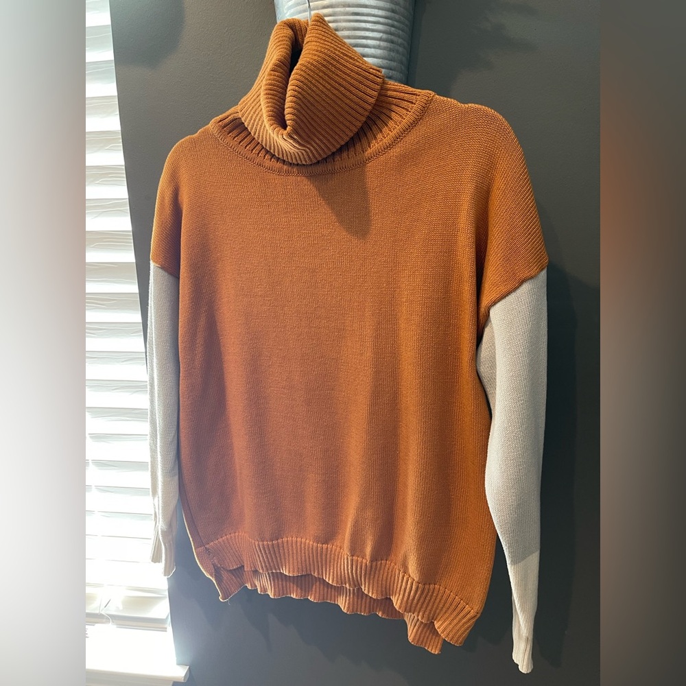 Pink Lily Turtle Neck Sweater in Orange, Gray and Cream